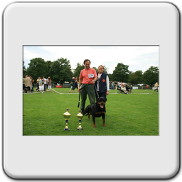 Wenn auslandsiegerin