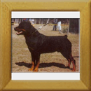 Iwan v. Fube d. Eifel