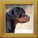 Herbie v. Grntenblick