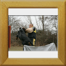 Burning des Princes d´Aragone