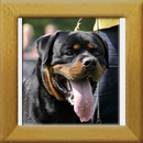 Indios dell´Antico Guerriero