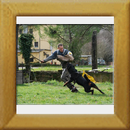 Indios dell´Antico Guerriero