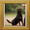 Lenz v. d. Hassberghöhen