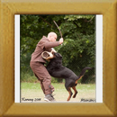 Lenz v. d. Hassberghöhen