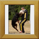 Lenz v. d. Hassberghhen