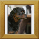 Lenz v. d. Hassberghöhen