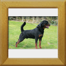 Lenz v. d. Hassberghöhen