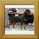 Lenz v. d. Hassberghöhen