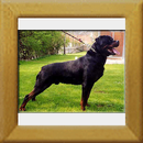 Akino v.d. Lauterbrucke