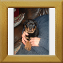 Helen del Norte