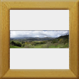 Vistas