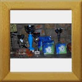 Trofeos1