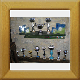 Trofeos4